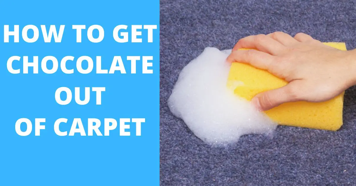 How to Get Chocolate Out of Carpet