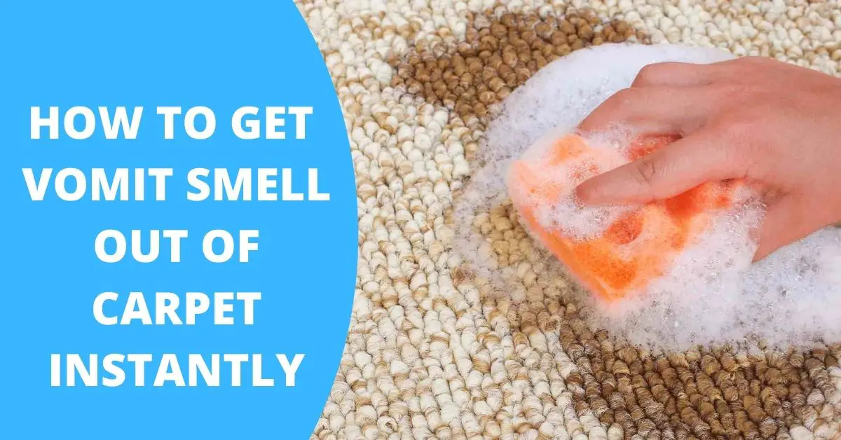 how-to-get-vomit-smell-out-of-carpet-5-instant-ways