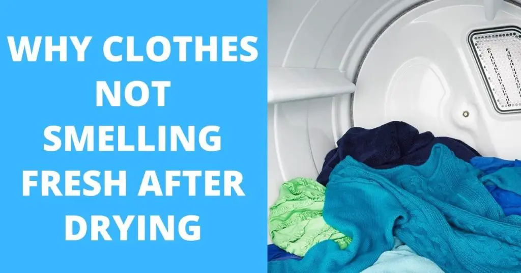 Why Do My Clothes Not Smell Fresh After Tumble Drying