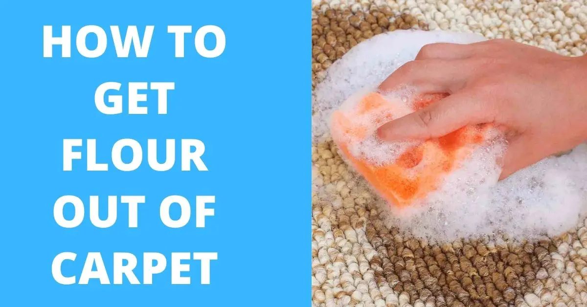 How to Get Flour Out of Carpet