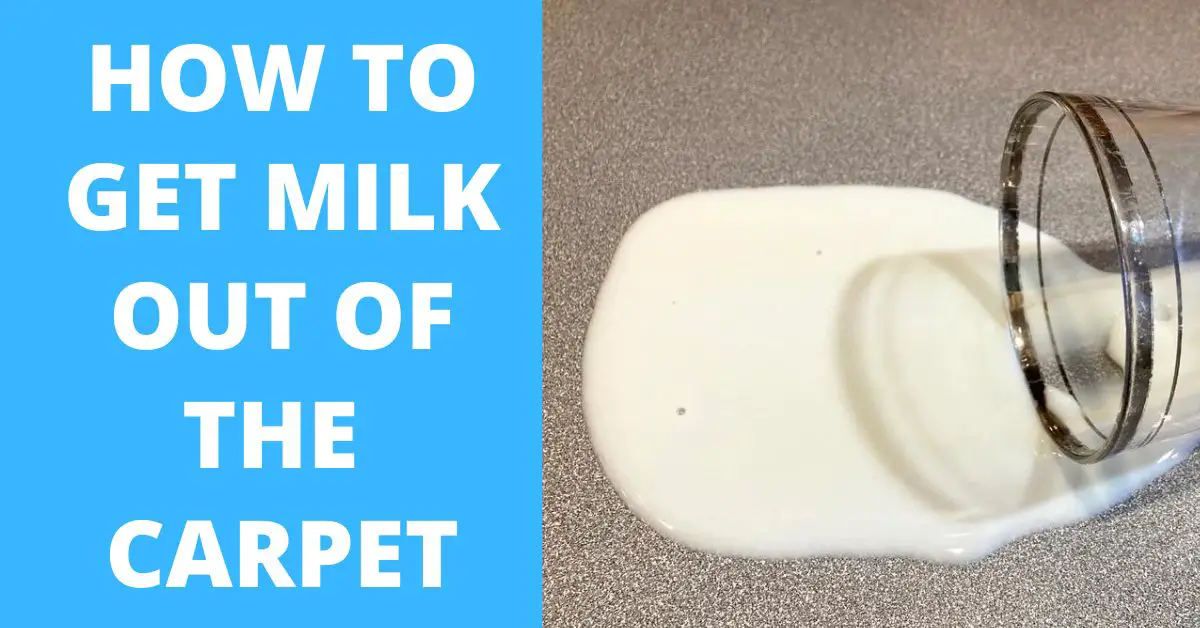 How to Get Milk Out of the Carpet