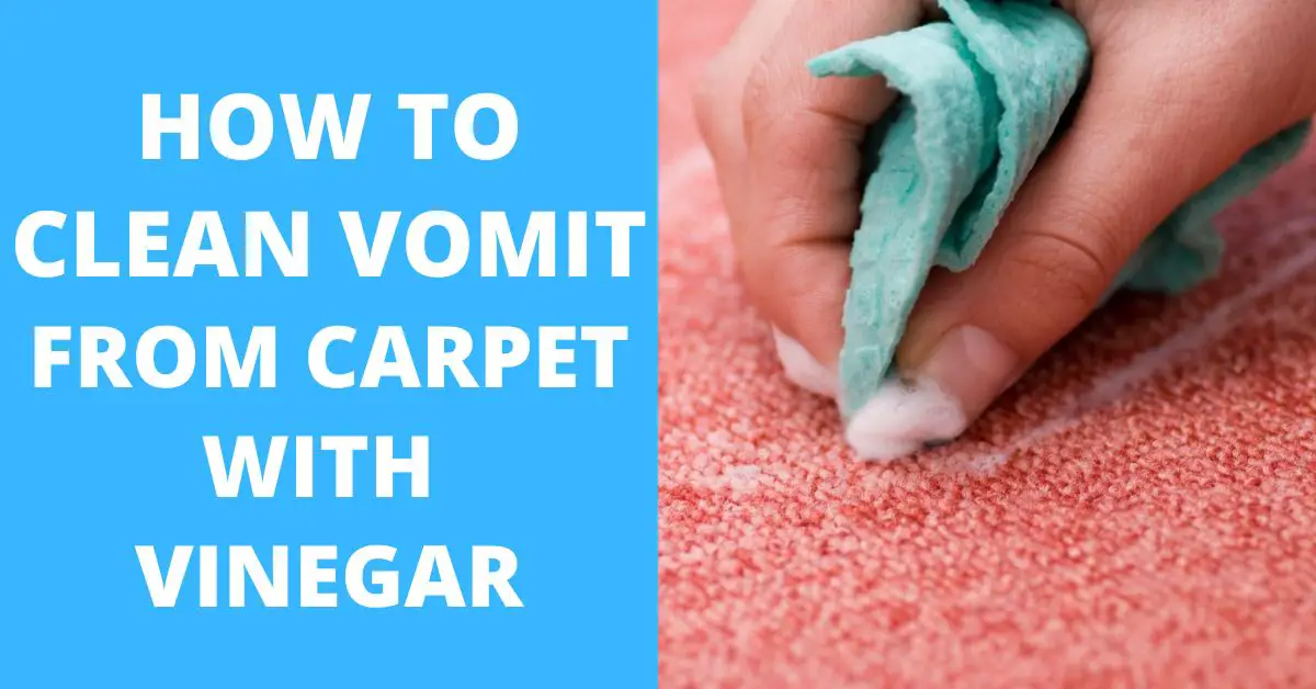 How to Clean Vomit from Carpet With Vinegar in Simple Few Steps