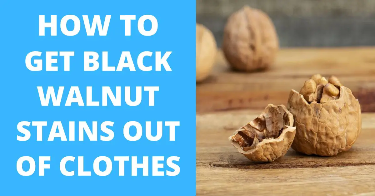 How to Remove Black Walnut Stains from Clothing