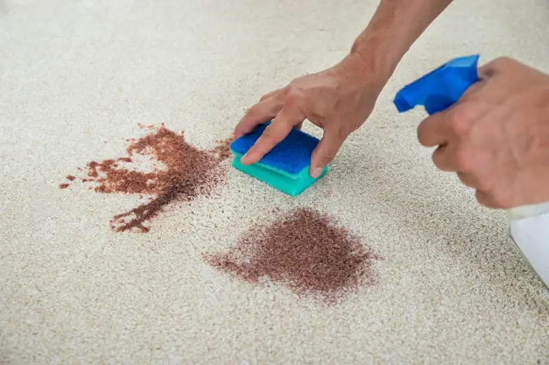 How to Get Food Dye Out of Carpet